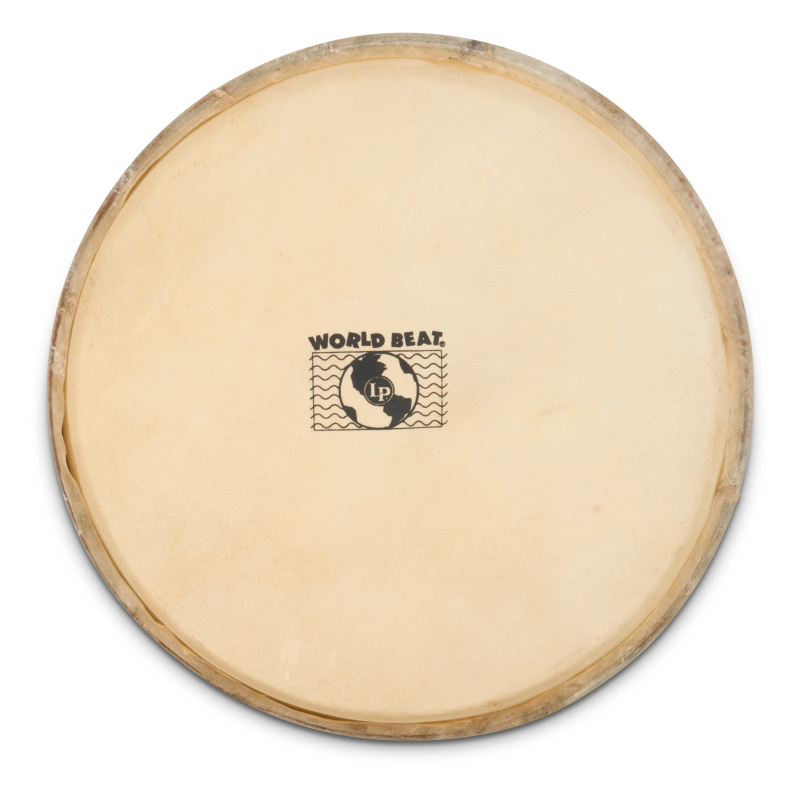 LP WB505B Head Plenera 10"