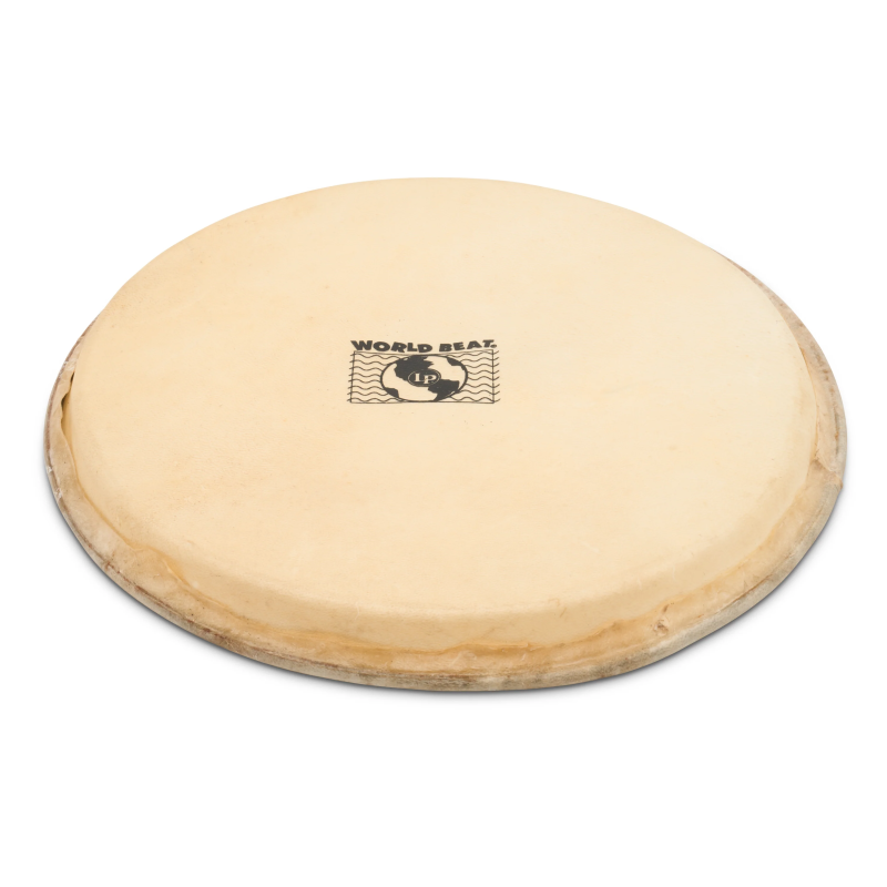 LP WB505B Head Plenera 10"