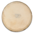LP WB505B Head Plenera 10"
