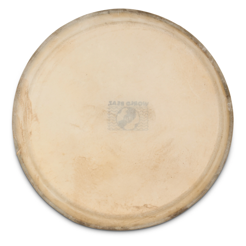 LP WB505B Head Plenera 10"