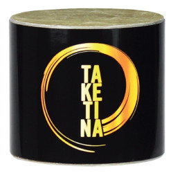 Remo Shaker Taketina Mini