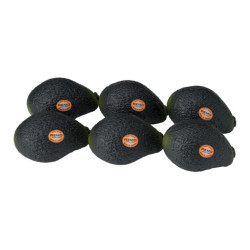 Remo Shaker Aguacate Shakers Fruta Aguacate