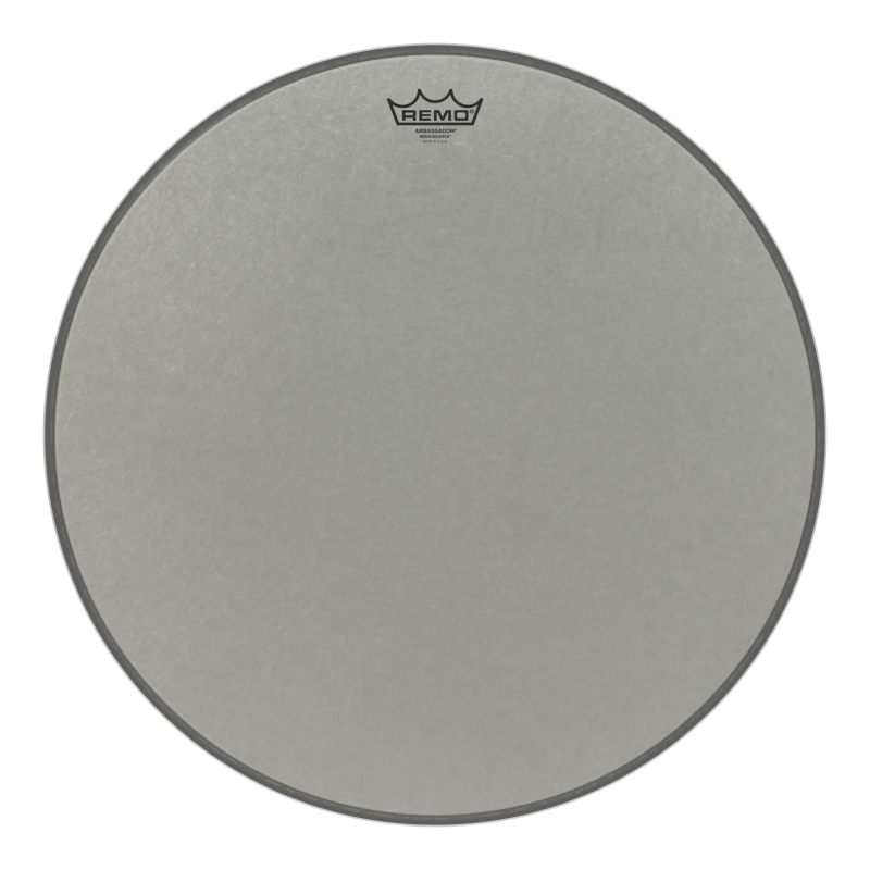 Remo 20" Ambassador Renaissance RA-0020-SS