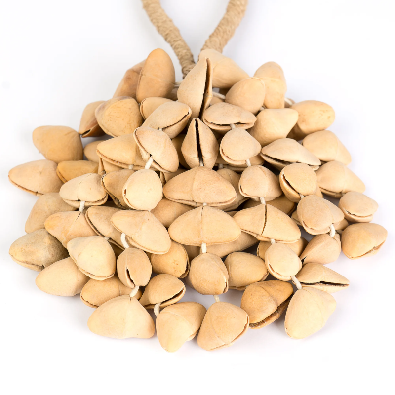 Sela SESDS5 Seed Shaker 6-row Kenari