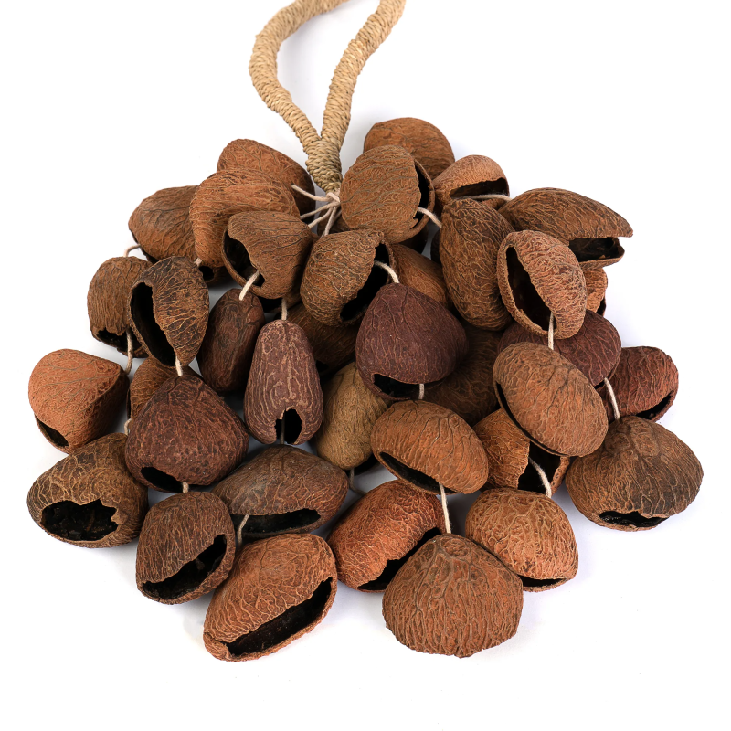 Sela SESDS3 Seed Shaker 4-row Pangi