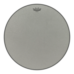 Remo 20" Ambassador Renaissance RA-0020-SS