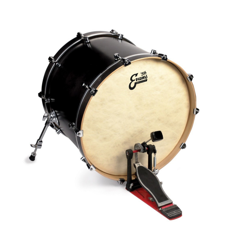 Evans 24" EQ4 Calftone BD24GB4CT