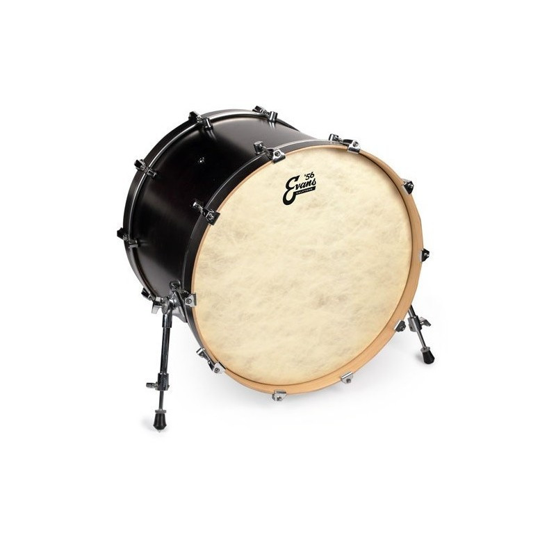 Evans 24" EQ4 Calftone BD24GB4CT
