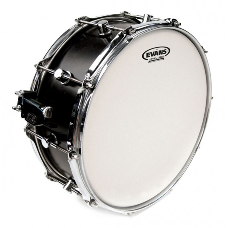 Evans 14" G2 Coated B14G2