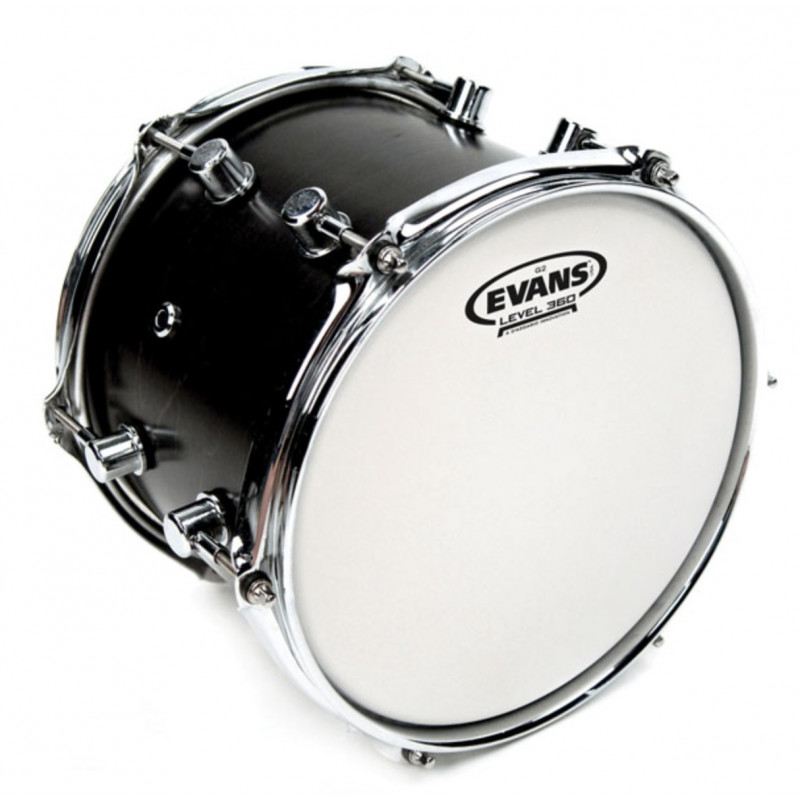 Evans 14" G2 Coated B14G2
