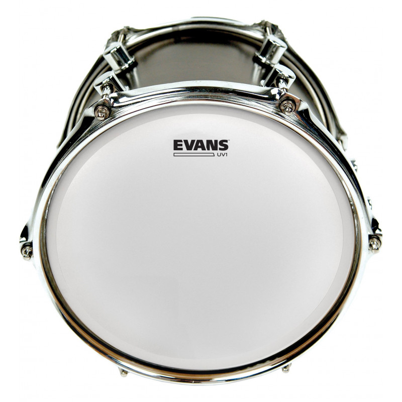 Evans 13" UV1 B13UV1