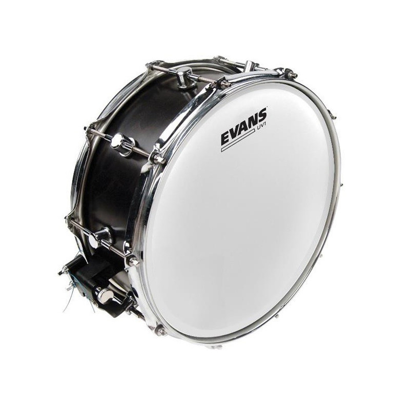 Evans 13" UV1 B13UV1