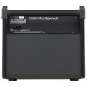 ROLAND PM-100 Amplificador