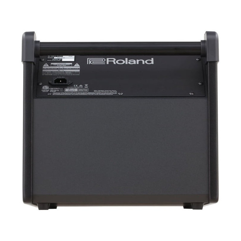 ROLAND PM-100 Amplificador
