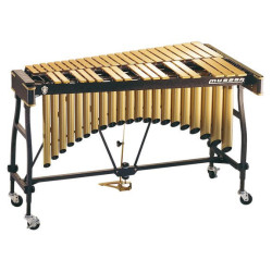 tamtampercusion_articulo_5339.jpg