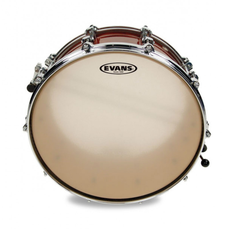 Evans 14" Strata Concert CS14S