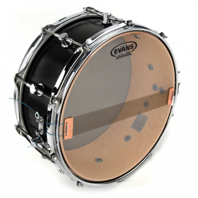 Evans 10" Bordonero Hazy 300 S10H30