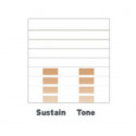 Evans 10" Bordonero Hazy 300 S10H30