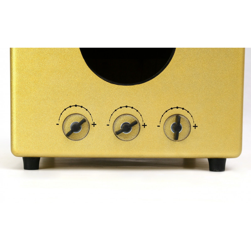 Leiva Cajón Zoco Anniversary
