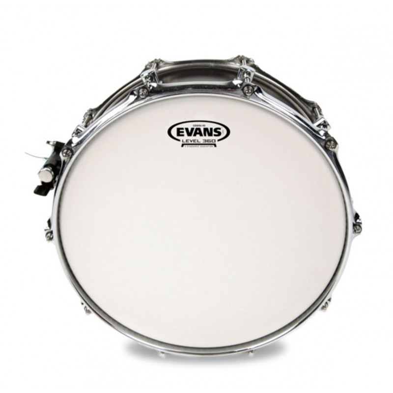 Evans 14" Genera HD B14HD