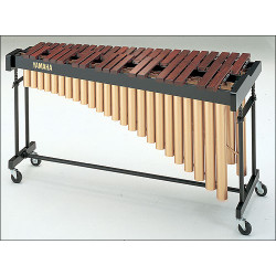 tamtampercusion_articulo_5027.jpg