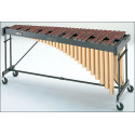 tamtampercusion_articulo_5030.jpg