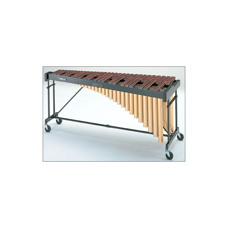tamtampercusion_articulo_5030.jpg