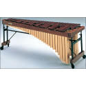 tamtampercusion_articulo_5032.jpg