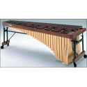 tamtampercusion_articulo_5033.jpg