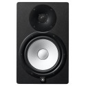 hs8_monitor_de_estudio-9547.jpg