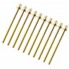 Sparedrum TRC-75W-BR Tornillo Dorado 75mm