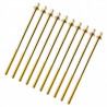 Sparedrum TRC-115W-BR Golden Screw 