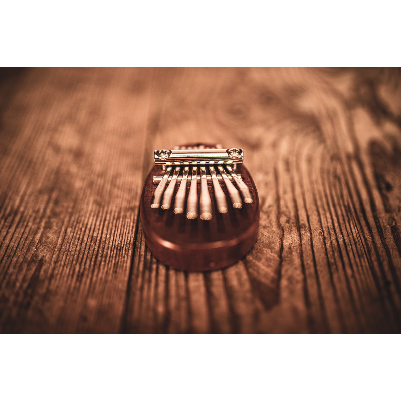 Meinl Sonic Energy KL8MINI Mini Kalimba