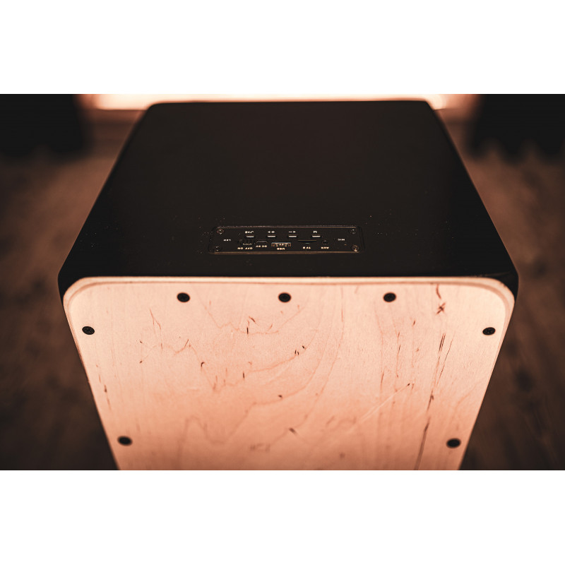 Meinl MPSCAJ Cajón Speaker