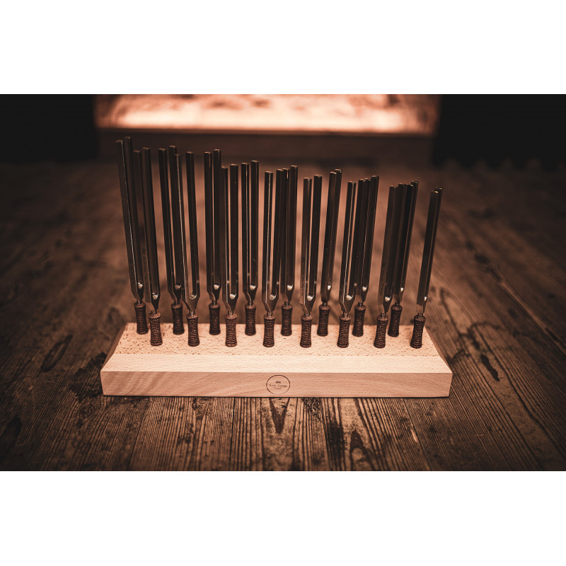 Meinl TTF-SET-16 Therapy Tuning Forks Set