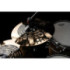 Meinl Splash 10" Classics Custom Dual CC10DUS
