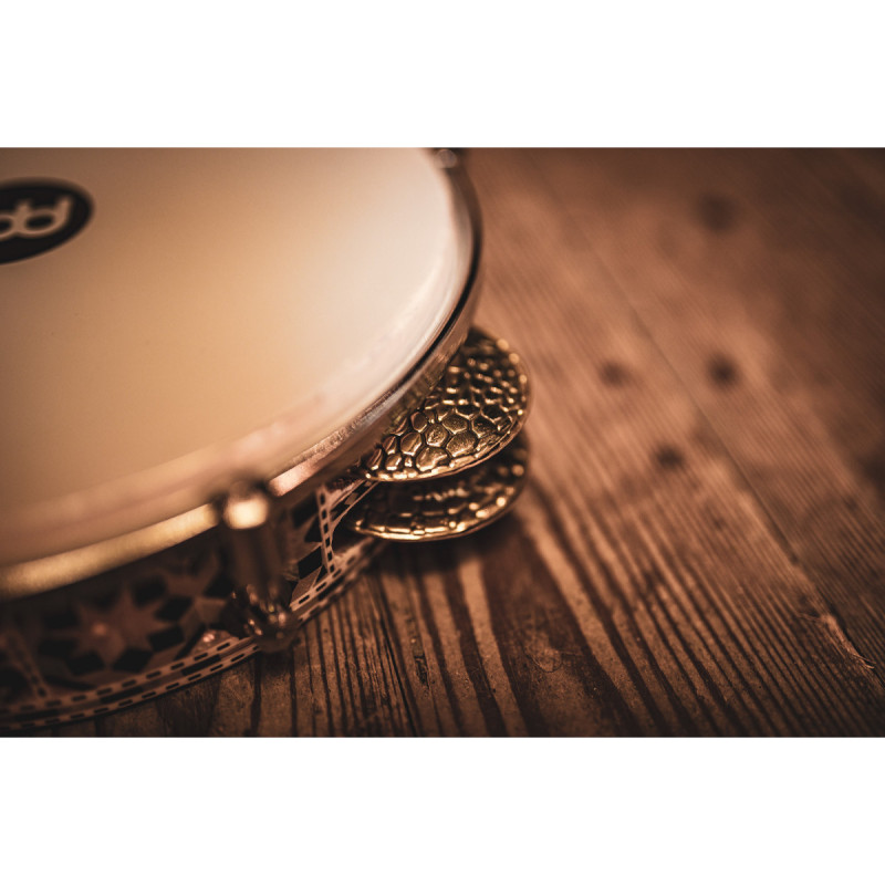 Meinl AERIQ1 Artisan Riq