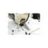 Pearl Roadshow RS525SC Rock Plus Jet Black