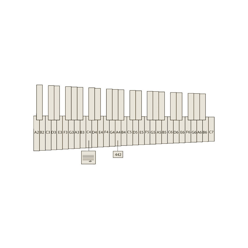 Vancore PSM1001 4.1/3 Octavas Marimba Padouk