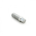 DW DWSP2029