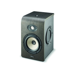 Focal Shape 65 Monitor