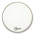 Aquarian 16" Force II Gloss White BD FR16WH