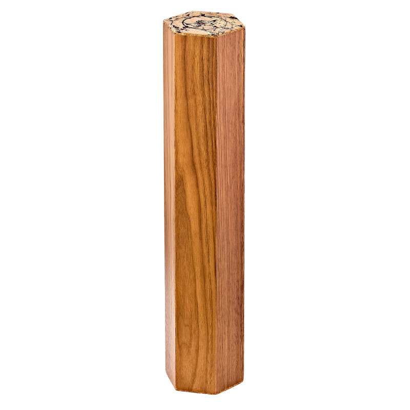 Meinl Sonic Energy RM1WAL 5 minutes Rainmaker