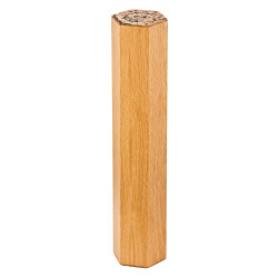Meinl Sonic Energy RM1OAK 5 minutes Rainmaker