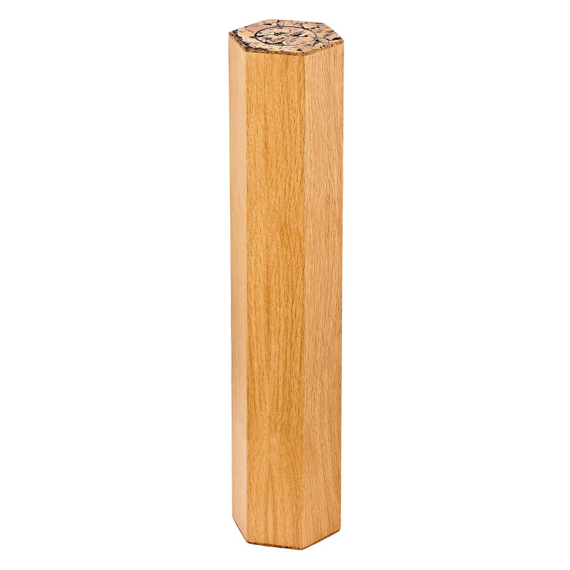 Meinl Sonic Energy RM1OAK 5 minutes Rainmaker