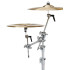 DW DWSM798 Dog Bone Lare