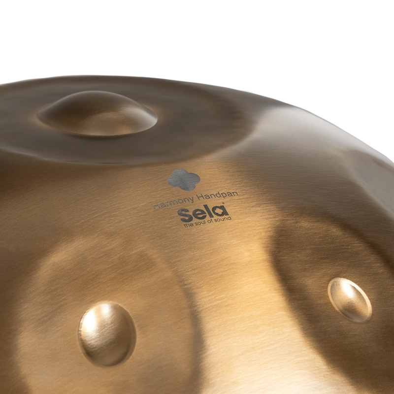 Sela SE-201 Harmony Handpan D Kurd