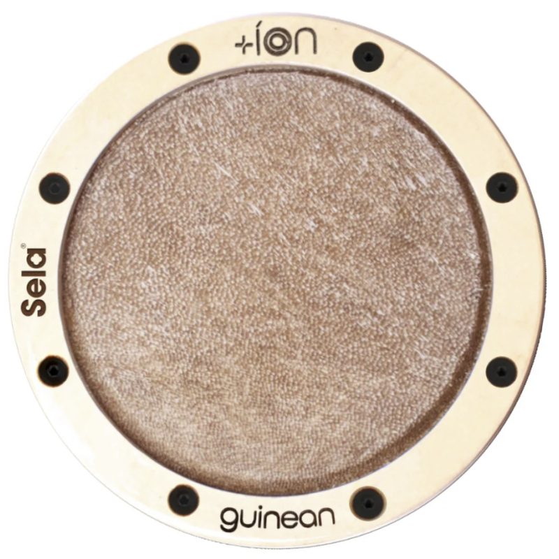 Sela SE-ION5 Ion for Iconic Cajon Guinean