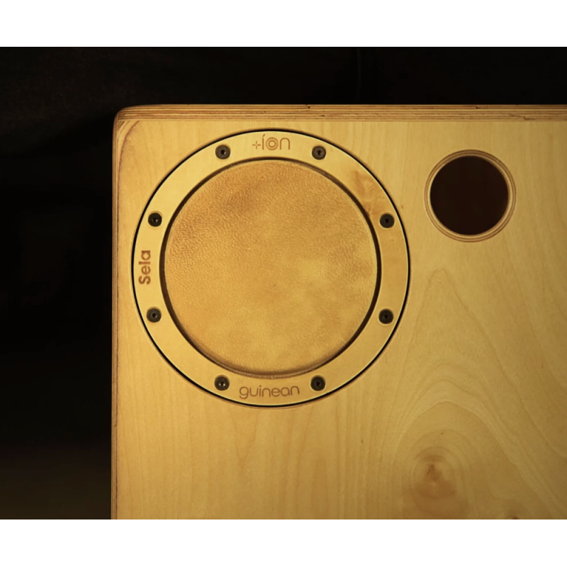 Sela SE-ION5 Ion for Iconic Cajon Guinean