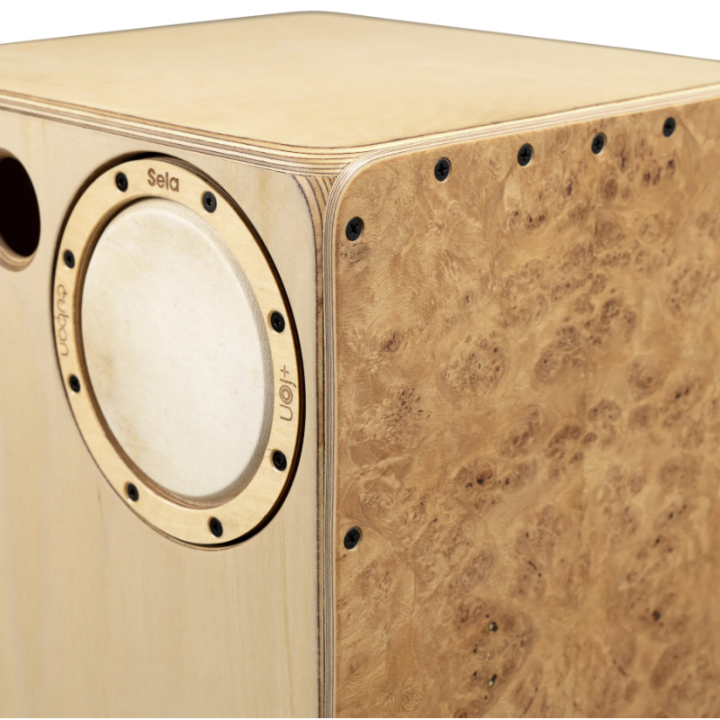 Sela SE-IC3 Cajon Iconic Cajón Oak Roots